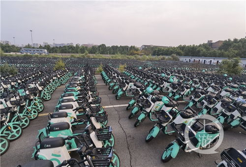 壯觀(guān) 空壩上停了上萬(wàn)輛共享電動(dòng)車(chē),有市民專(zhuān)門(mén)來(lái)打卡拍照
